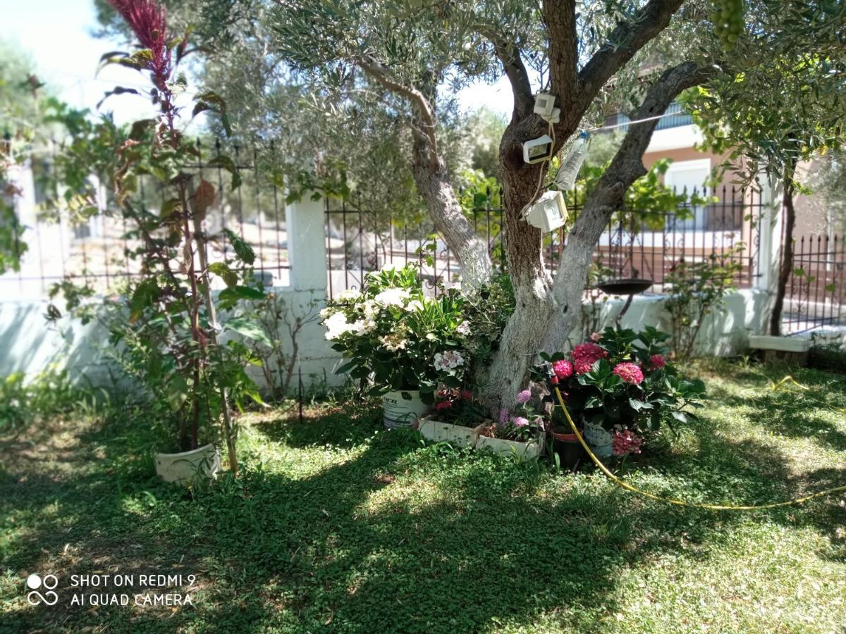 Appartement Bella-Caza à Nea Nea Makri Extérieur photo