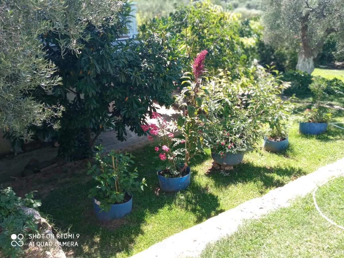 Appartement Bella-Caza à Nea Nea Makri Extérieur photo