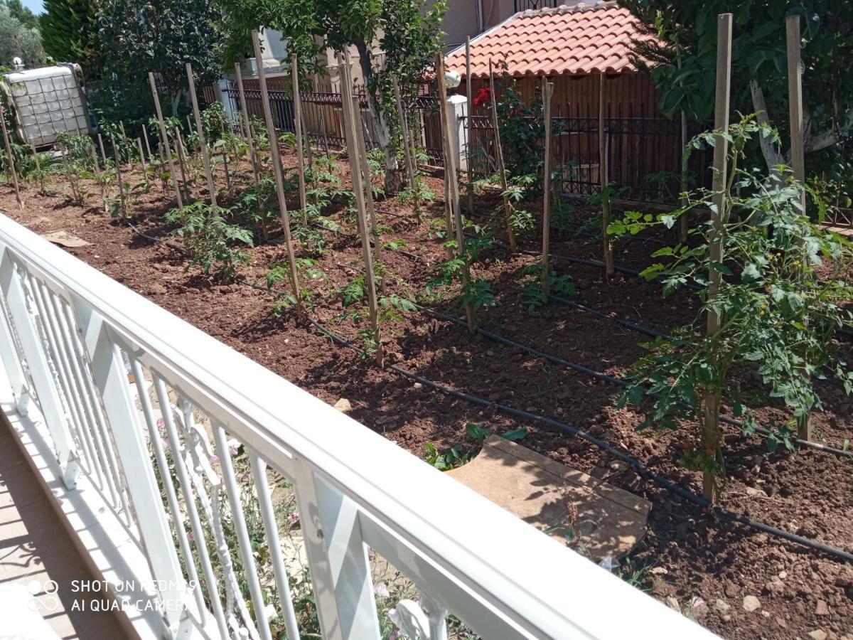 Appartement Bella-Caza à Nea Nea Makri Extérieur photo