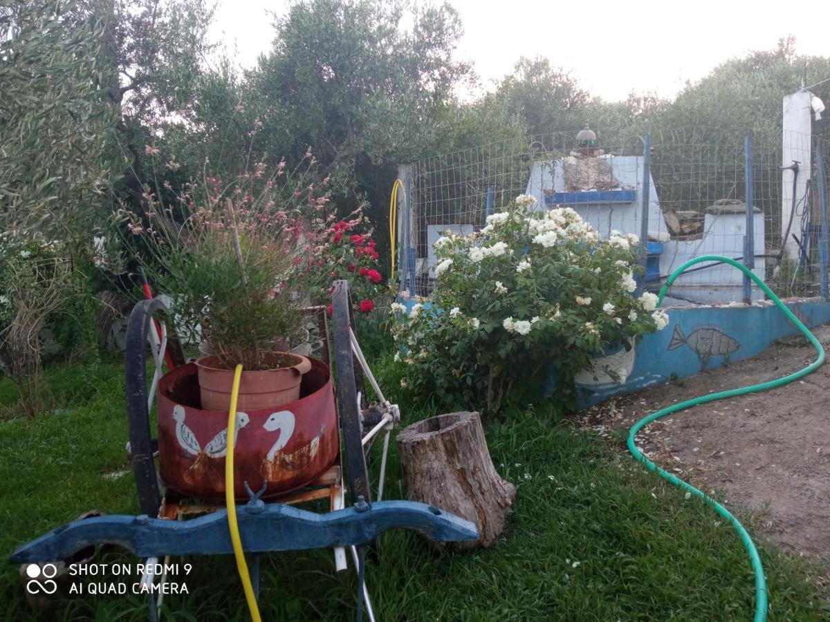 Appartement Bella-Caza à Nea Nea Makri Extérieur photo