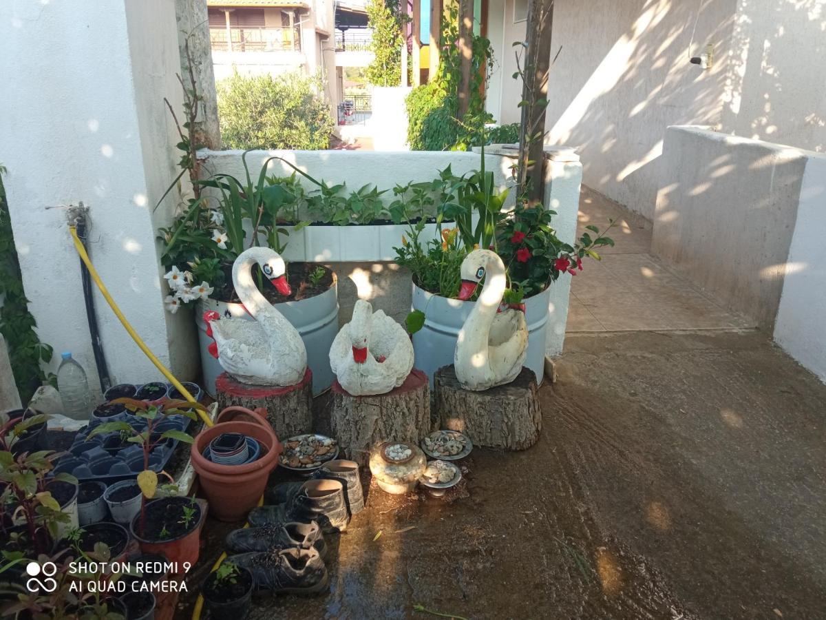 Appartement Bella-Caza à Nea Nea Makri Extérieur photo