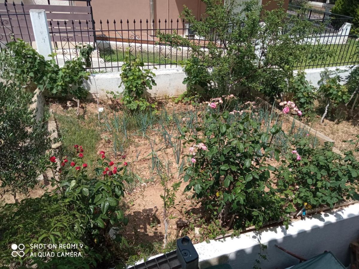 Appartement Bella-Caza à Nea Nea Makri Extérieur photo
