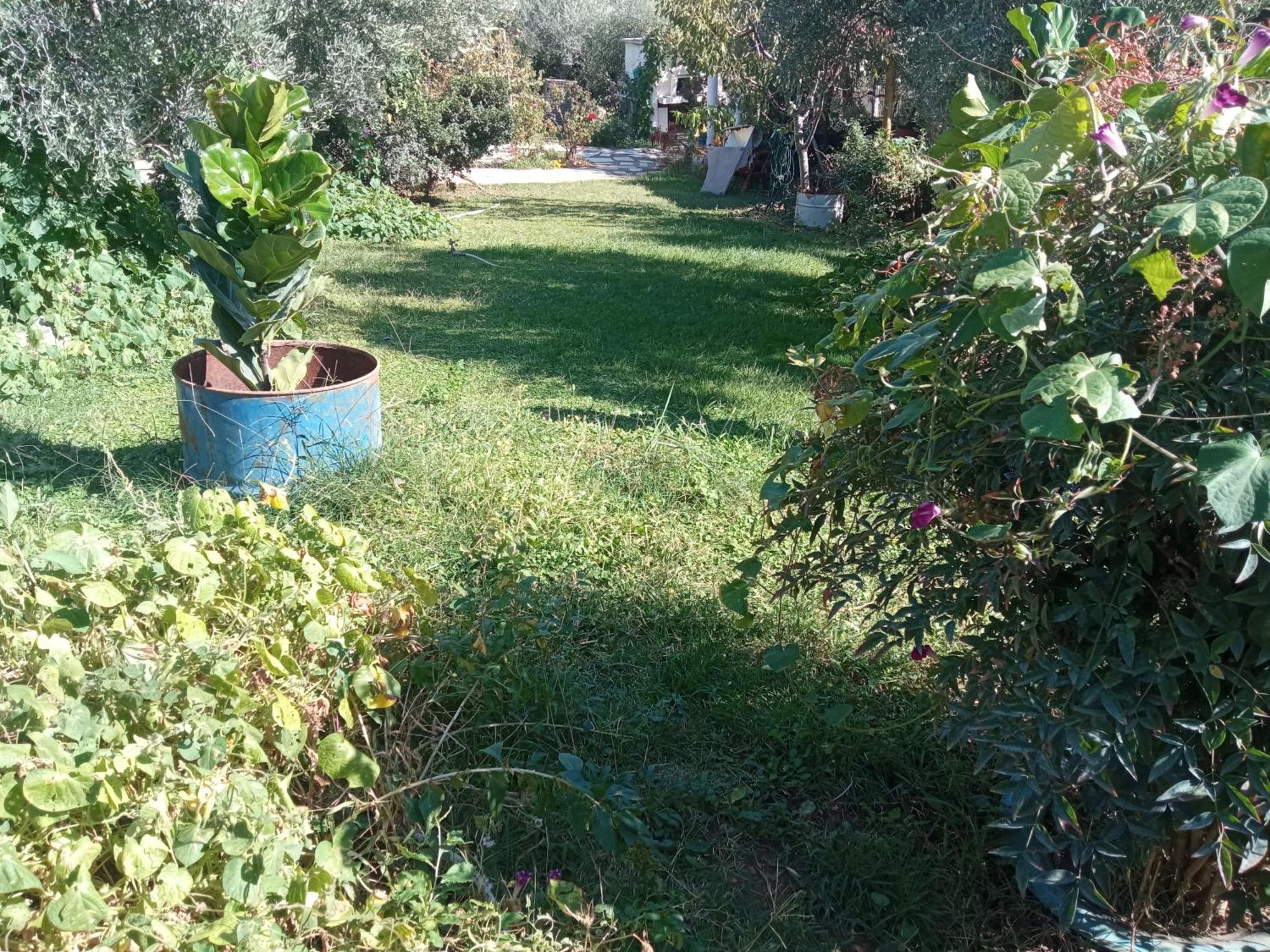 Appartement Bella-Caza à Nea Nea Makri Extérieur photo